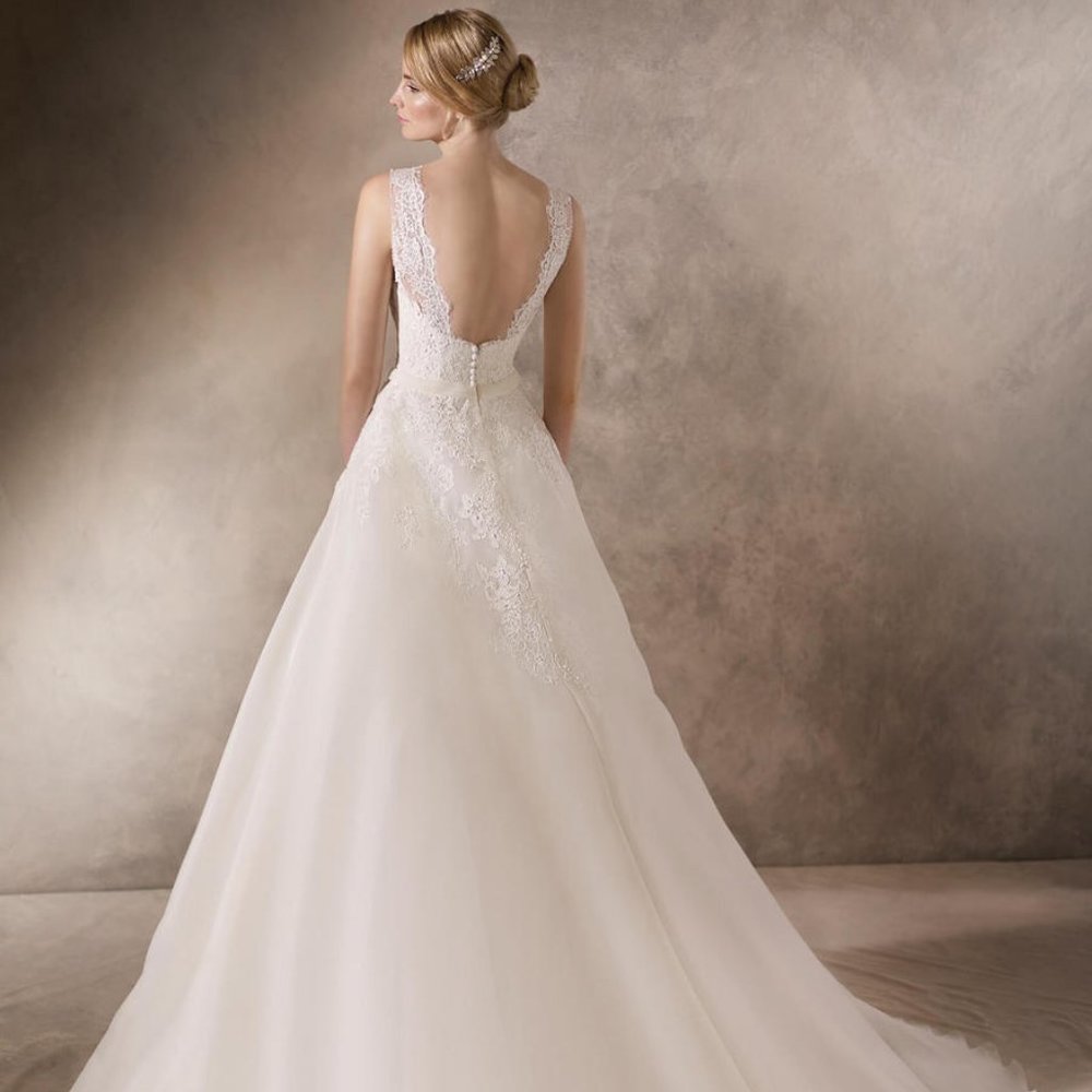 La Sposa by Pronovias Wedding Dress Hakem - Picture 2 of 8